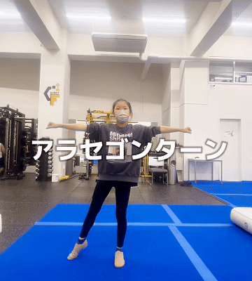 アラセゴンターン