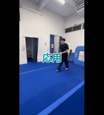 応用