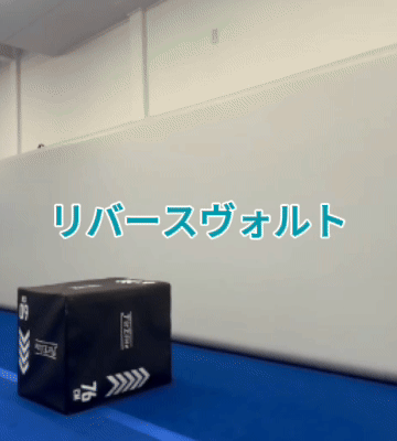 リバースヴォルト