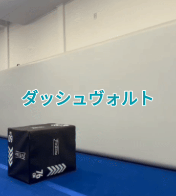 ダッシュヴォルト