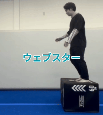 ウェブスター