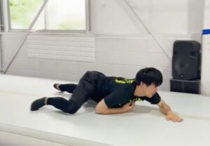 アニマルトレーニング4. ワニ