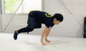 アニマルトレーニング2. イヌ