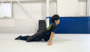 アニマルトレーニング8. アザラシ