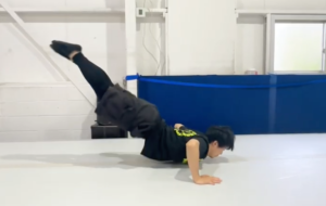 アニマルトレーニング9. イモムシ